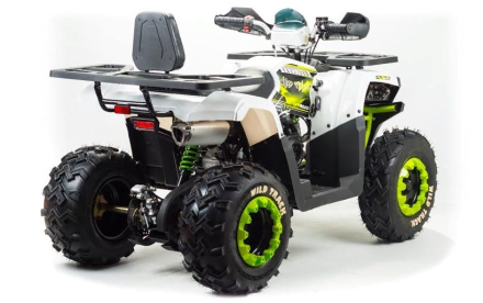 Квадроцикл MOTOLAND ATV 200 Wild Track оптом, фото 4