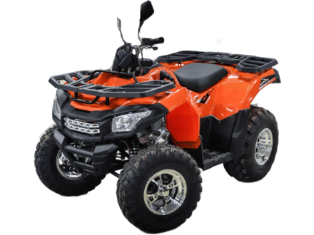 Квадроцикл MOTOLAND ATV 200 Max оптом, фото 2