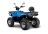 Квадроцикл IRBIS ATV200 LUX оптом