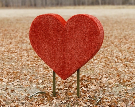 Топиари Сердце Без надписи - газон Eco оптом, фото 1