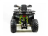 Квадроцикл MOTOLAND 200 Wild Track Pro оптом