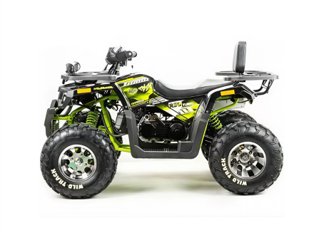 Квадроцикл MOTOLAND 200 Wild Track Pro оптом, фото 3