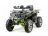 Квадроцикл MOTOLAND 200 Wild Track Pro оптом