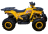 Квадроцикл AVANTIS Hunter 200 Big Lux (Баланс. вал) оптом