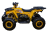 Квадроцикл AVANTIS Hunter 200 Big Lux (Баланс. вал) оптом