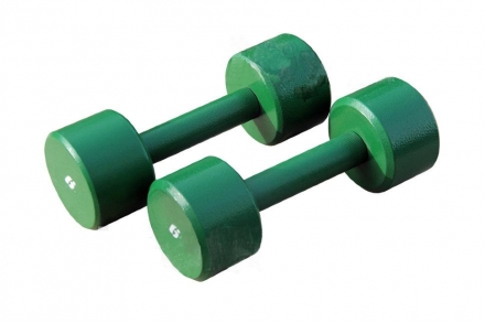 Гантель «ProfiGym» неразборная с полимерным покрытием, 6 кг ГНП-6  оптом, фото 1