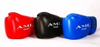 Перчатки боксерские AML оптом, фото 4