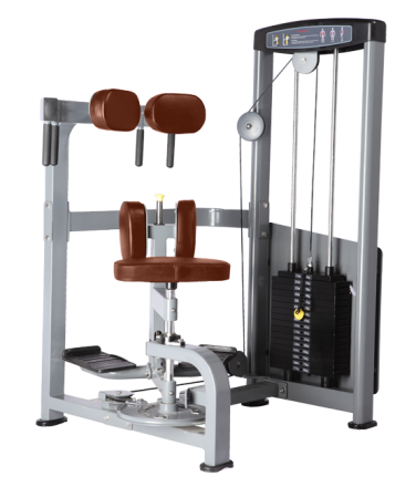 BRONZE GYM D-011_C Торс-машина оптом, фото 1