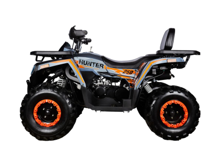 Квадроцикл AVANTIS H250 BIG NEW Basic оптом, фото 3