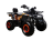 Квадроцикл AVANTIS H250 BIG NEW Basic оптом