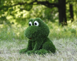 Топиари Лягушка - газон Eco, фото 2