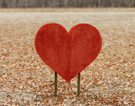 Топиари Сердце С надписью - газон Eco оптом, фото 4