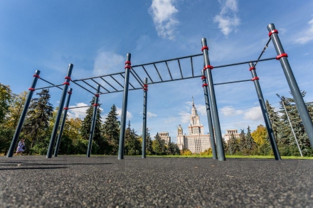Комплекс из турников и рукохода Диксон оптом, фото 3