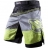 Шорты Hayabusa hayshorts064 оптом