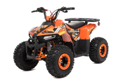 Квадроцикл SHARMAX Cross 150 (2024), фото 1 Квадроцикл SHARMAX Cross 150 (2024), фото 1