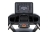 Беговая дорожка SPIRIT CT800+ оптом