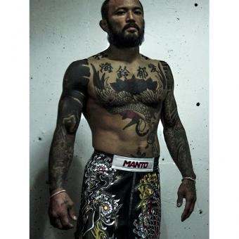 Шорты Manto manshorts089 оптом, фото 3