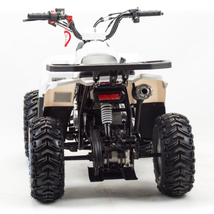 Квадроцикл MOTOLAND 110 Eagle (2021 Г.) оптом, фото 4