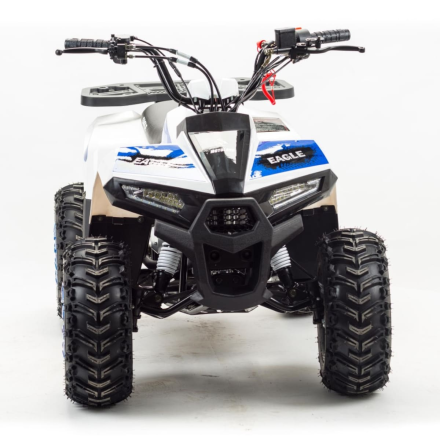 Квадроцикл MOTOLAND 110 Eagle (2021 Г.) оптом, фото 3
