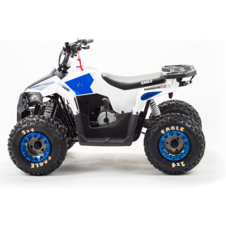 Квадроцикл MOTOLAND 110 Eagle (2021 Г.) оптом, фото 2