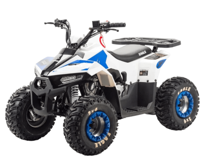 Квадроцикл MOTOLAND 110 Eagle (2021 Г.) оптом, фото 1