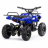Квадроцикл MOTAX Mini Grizlik X-16 800W оптом