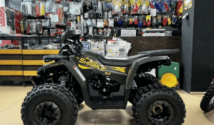 Квадроцикл YAMAHA Shark 175 оптом, фото 15