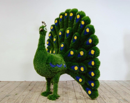 Топиари павлин Олео - газон Eco оптом, фото 1