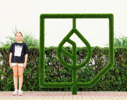 Топиари стела Ботаника - газон Deluxe оптом, фото 2