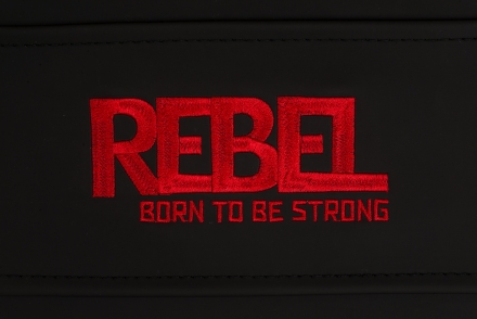 Скамья для пресса REBEL A26 оптом, фото 2