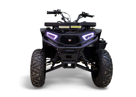 Квадроцикл MOTAX Grizlik W200 оптом, фото 3