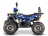 Квадроцикл GRIZZLY Aerox 125 оптом