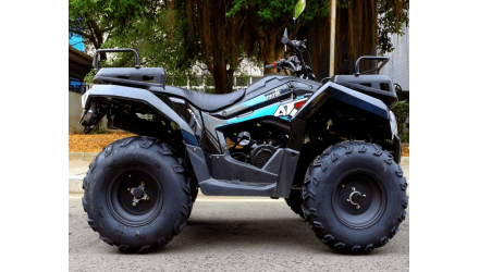 Квадроцикл RATO 200 Simple оптом, фото 2