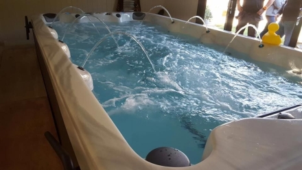 Плавательный спа-бассейн с противотоком Vita Spa XL4 оптом, фото 13