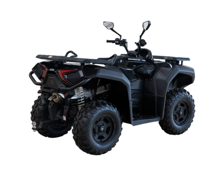 Квадроцикл HISUN Guardian 750S Short (ПСМ) оптом, фото 7