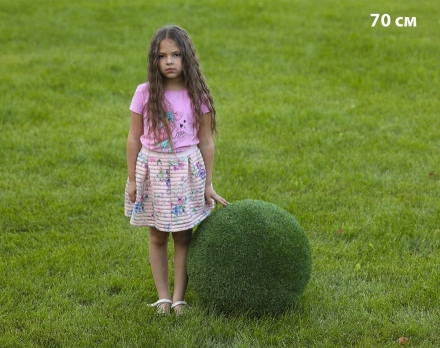 Топиари Шар в виде куста туи, 50 см - газон Eco оптом, фото 2