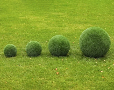 Топиари Шар в виде куста туи, 50 см - газон Eco оптом, фото 4