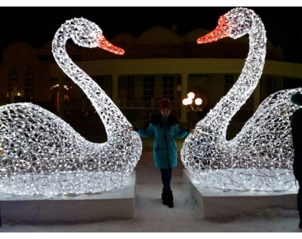 Световая композиция Лебедь и лебедушка 012 оптом, фото 2