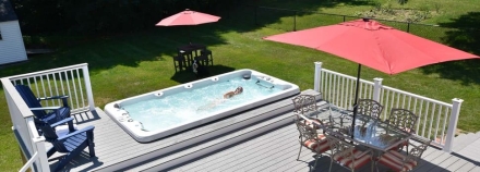 Плавательный спа-бассейн с противотоком Vita Spa VL4 оптом, фото 3