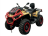 Квадроцикл BRC X-Terra CT 1000 оптом