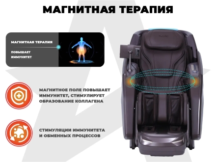 Массажное кресло FUJIMO EXCELSIOR F900 Коричневый оптом, фото 2