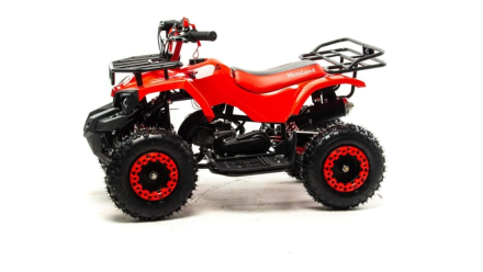 Квадроцикл MOTOLAND 50 Scorpion (2021 Г.) оптом, фото 6