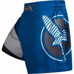 Шорты Hayabusa hayshorts079, фото 2