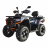 Квадроцикл MotoLand ATV 300 MAX X, с ПСМ оптом