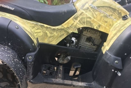 Квадроцикл MOTOLAND 250 Adventure (2021 Г.) оптом, фото 10