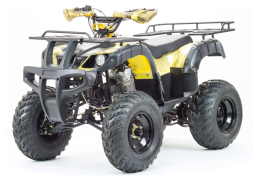 Квадроцикл MOTOLAND 250 Adventure (2021 Г.), фото 1