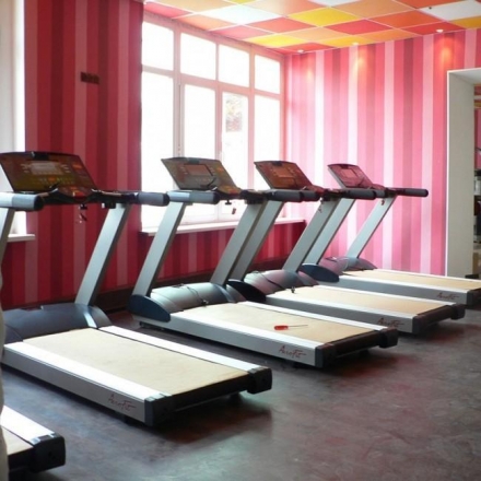 Беговая дорожка электрическая 8700TM 10&quot;TV AeroFit     оптом, фото 3