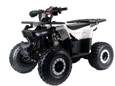 Квадроцикл MOTOLAND Storm A 125 оптом, фото 1