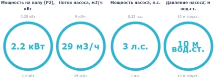 Насос с префильтром Saci Pumps Winner 300M оптом, фото 3