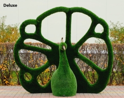 Топиари павлин Королевский - газон Deluxe, фото 1